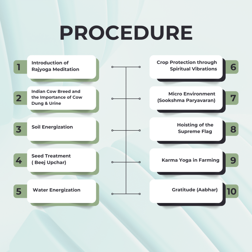 PROCEDURE