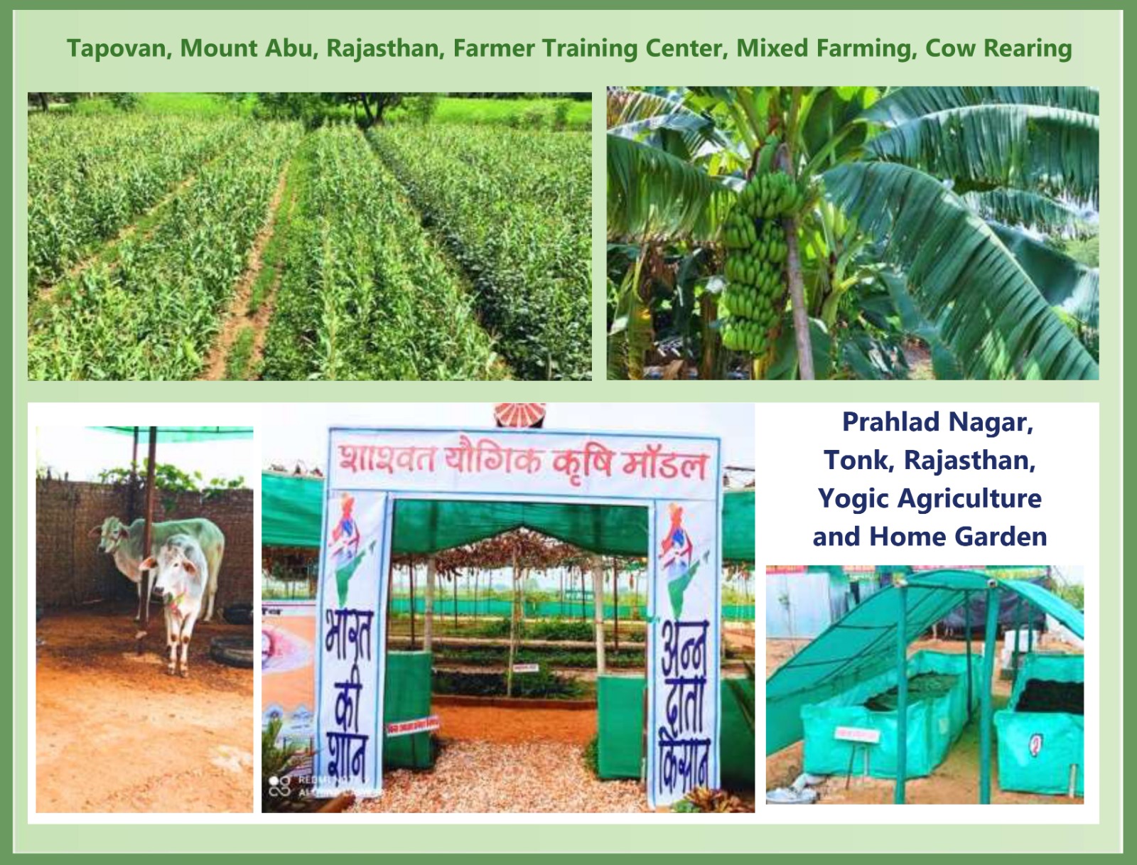 882366b4-d053-4c5c-8805-797c309a9c21Bk Rural Wing - Farm Model