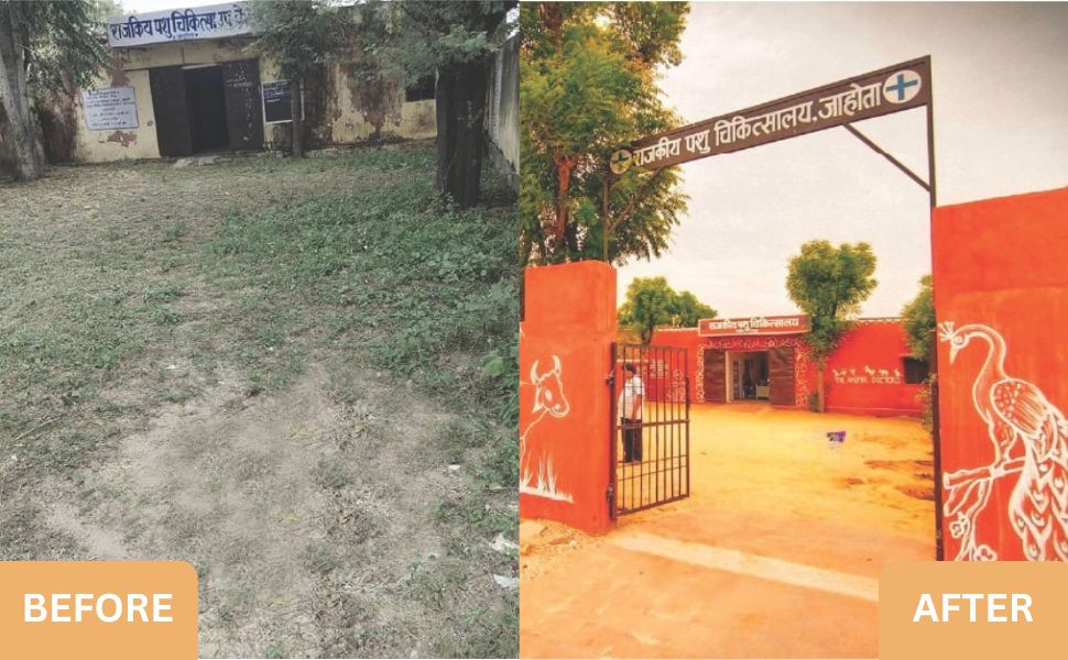 CLEANLINESS CAMPAIGN IMAGES