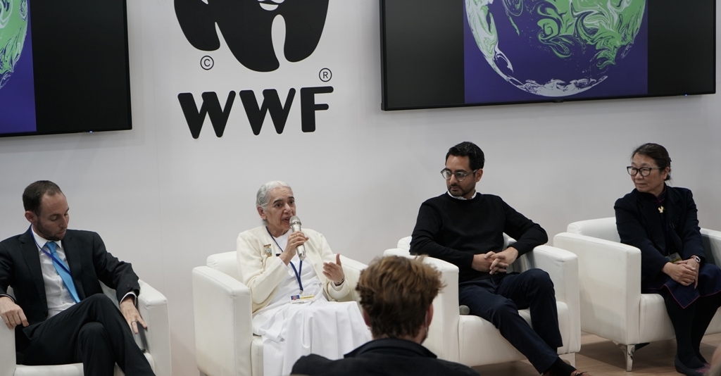 COP 26- Glasgow 2021-2