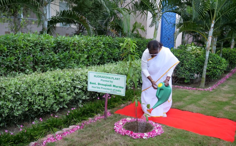Embracing a Greener Future