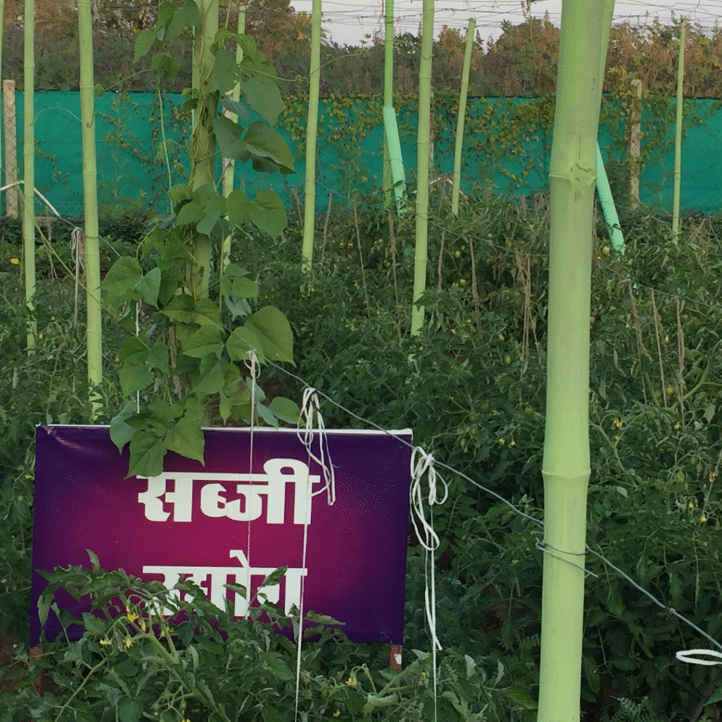 Promoting Sustainable Agriculture and Livelihoods
