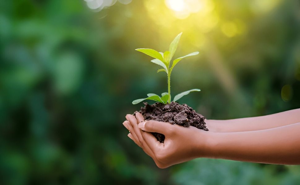 SUSTAINABLE LIVING