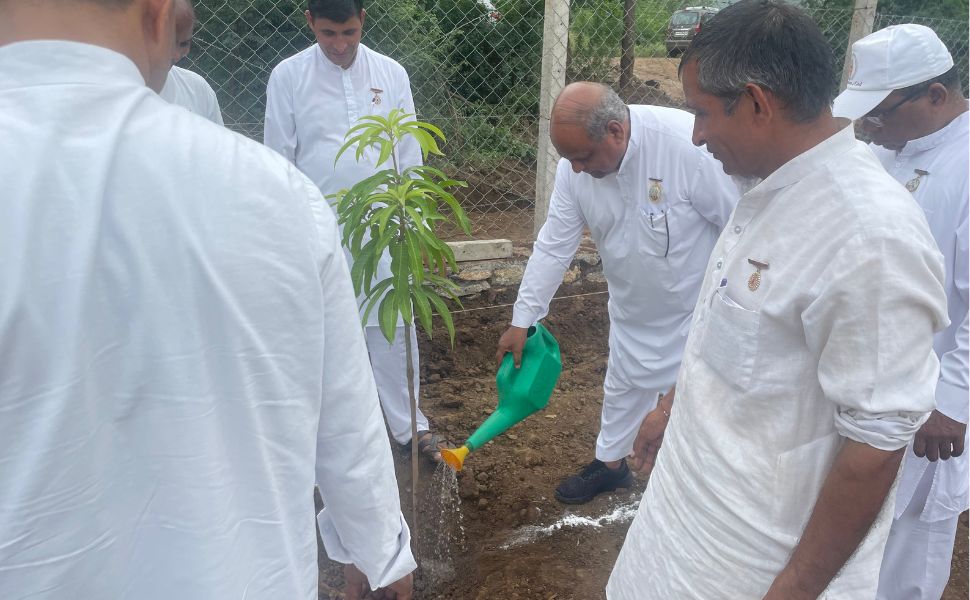 Tree Plantation Drives