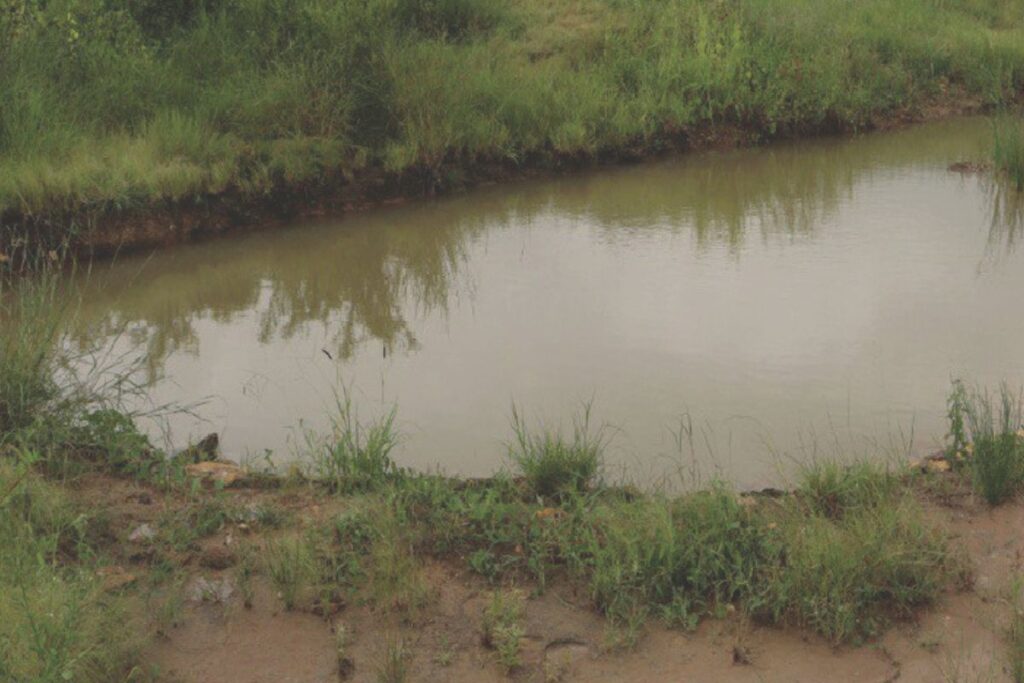 water conservation